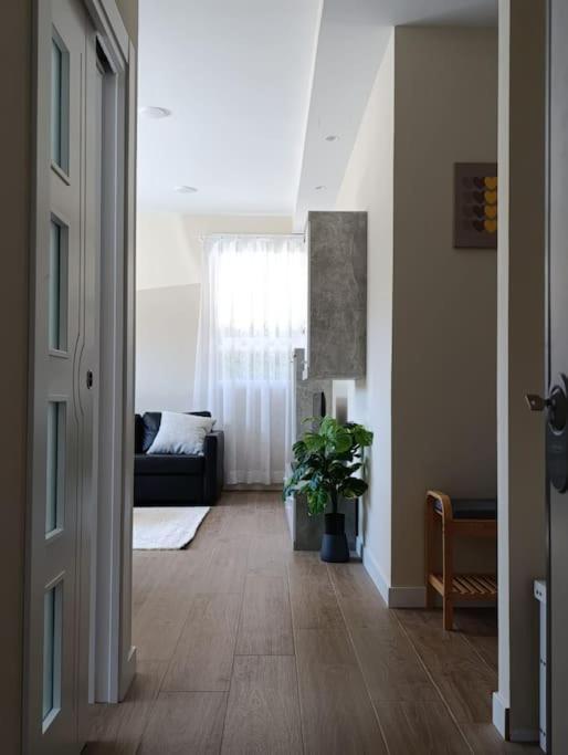 סלאמנקה Amplio Y Tranquilo Apartamento Casa מראה חיצוני תמונה